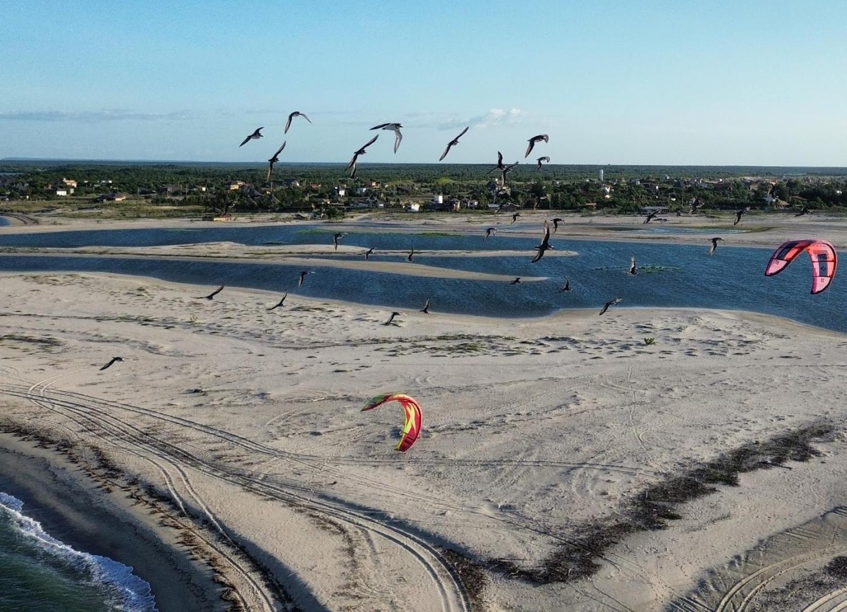 فندق Amazonia Kite Club لويس كوريا المظهر الخارجي الصورة